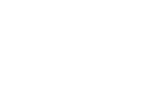 IVA Logo White
